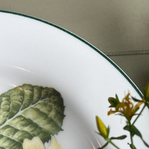 Royal Vale Primula Vulgaris Collector Plate Botanical Pattern Made in England - Picture 6 of 10